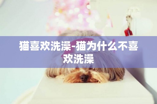 貓喜歡洗澡-貓為什么不喜歡洗澡