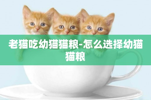 老貓吃幼貓貓糧-怎么選擇幼貓貓糧