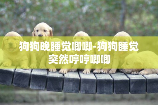 狗狗晚睡覺唧唧-狗狗睡覺突然哼哼唧唧