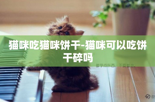 貓咪吃貓咪餅干-貓咪可以吃餅干碎嗎