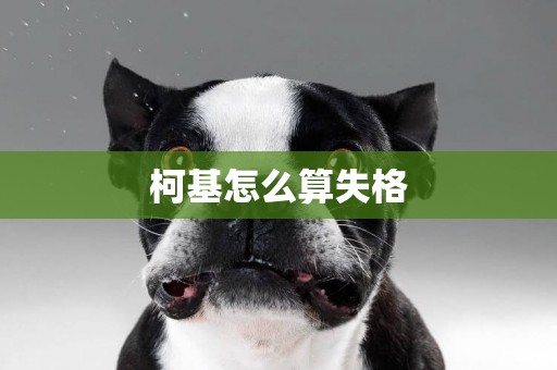 柯基怎么算失格