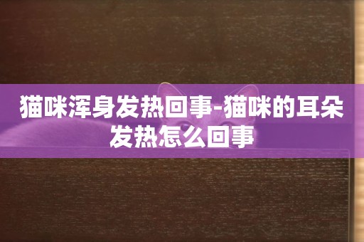 貓咪渾身發熱回事-貓咪的耳朵發熱怎么回事