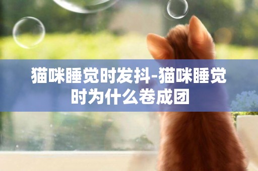 貓咪睡覺時發抖-貓咪睡覺時為什么卷成團