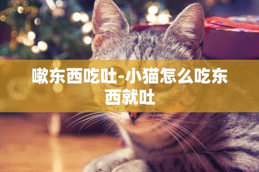 嗽東西吃吐-小貓怎么吃東西就吐
