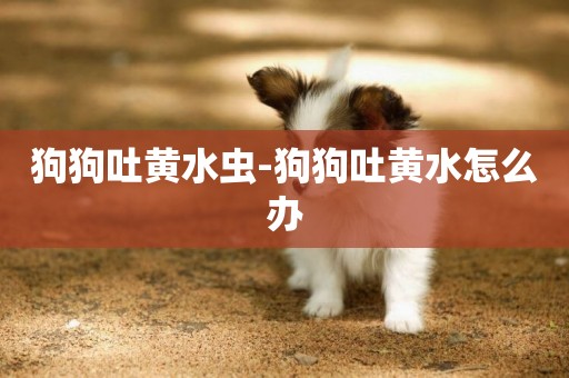 狗狗吐黃水蟲-狗狗吐黃水怎么辦