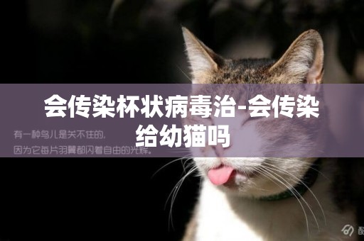 會傳染杯狀病毒治-會傳染給幼貓嗎