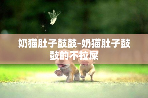 奶貓肚子鼓鼓-奶貓肚子鼓鼓的不拉屎