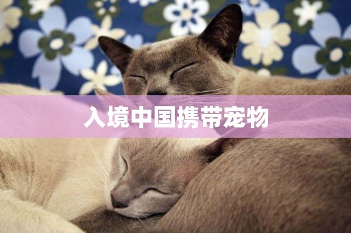 入境中國攜帶寵物