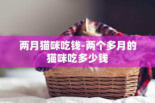 兩月貓咪吃錢-兩個多月的貓咪吃多少錢
