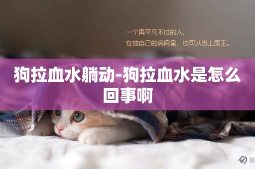 狗拉血水躺動-狗拉血水是怎么回事啊