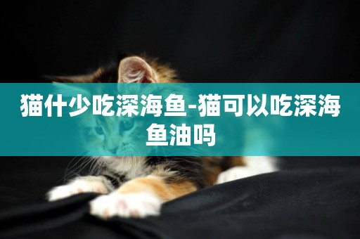 貓什少吃深海魚-貓可以吃深海魚油嗎