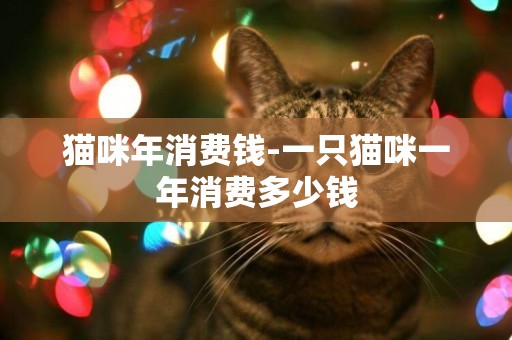 貓咪年消費錢-一只貓咪一年消費多少錢