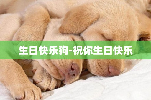 生日快樂狗-祝你生日快樂