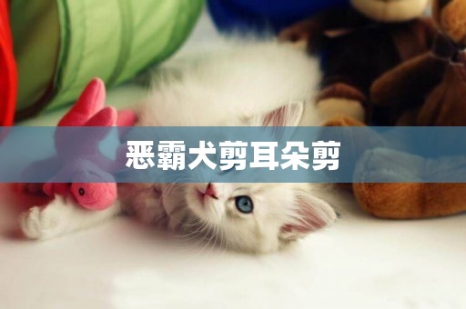 惡霸犬剪耳朵剪