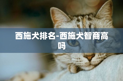 西施犬排名-西施犬智商高嗎