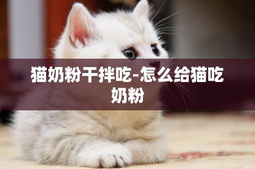 貓奶粉干拌吃-怎么給貓吃奶粉