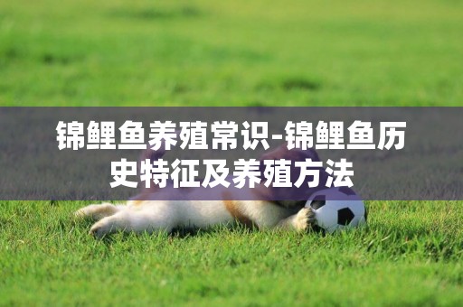 錦鯉魚養殖常識-錦鯉魚歷史特征及養殖方法