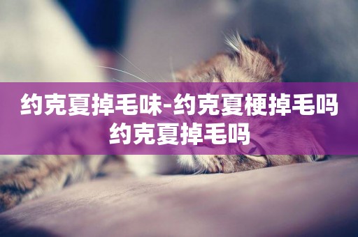 約克夏掉毛味-約克夏梗掉毛嗎約克夏掉毛嗎