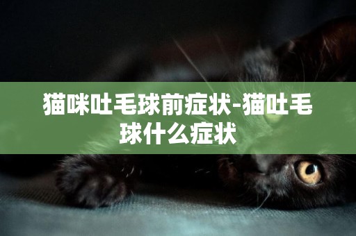 貓咪吐毛球前癥狀-貓吐毛球什么癥狀