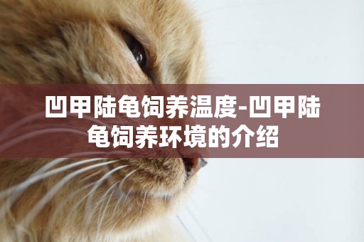 凹甲陸龜飼養溫度-凹甲陸龜飼養環境的介紹