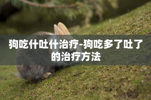 狗吃什吐什治療-狗吃多了吐了的治療方法