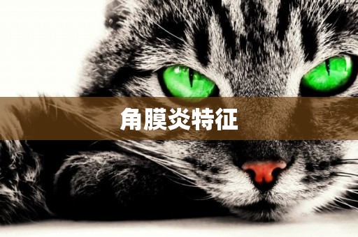 角膜炎特征