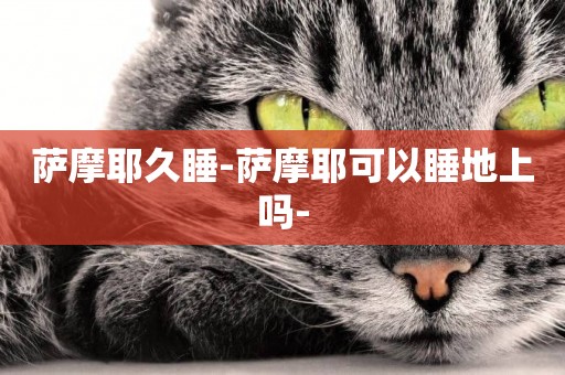 薩摩耶久睡-薩摩耶可以睡地上嗎-