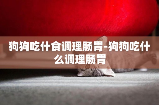 狗狗吃什食調理腸胃-狗狗吃什么調理腸胃