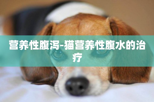 營養性腹瀉-貓營養性腹水的治療