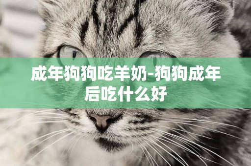 成年狗狗吃羊奶-狗狗成年后吃什么好
