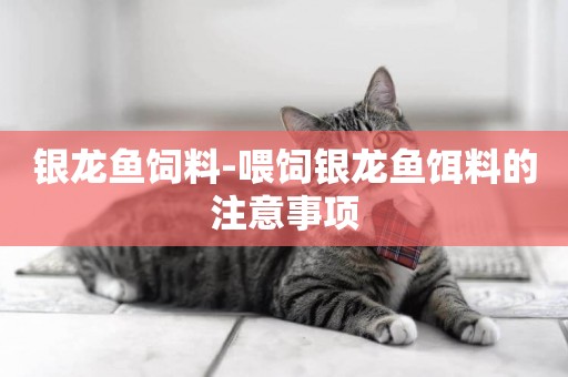 銀龍魚飼料-喂飼銀龍魚餌料的注意事項