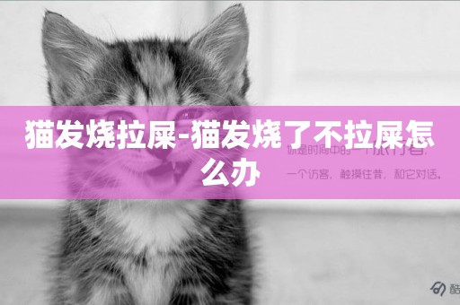 貓發燒拉屎-貓發燒了不拉屎怎么辦