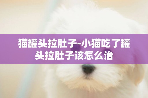 貓罐頭拉肚子-小貓吃了罐頭拉肚子該怎么治