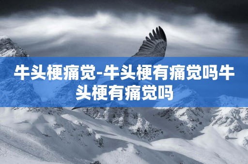 牛頭梗痛覺-牛頭梗有痛覺嗎牛頭梗有痛覺嗎