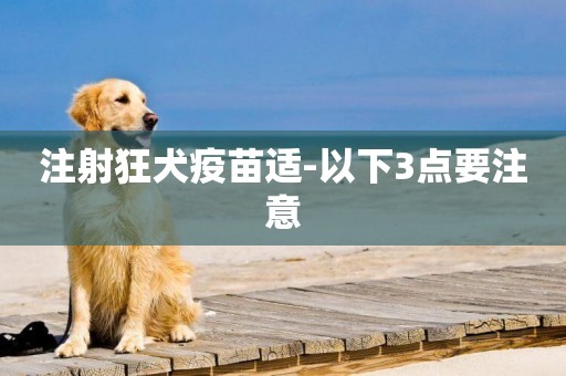 注射狂犬疫苗適-以下3點要注意