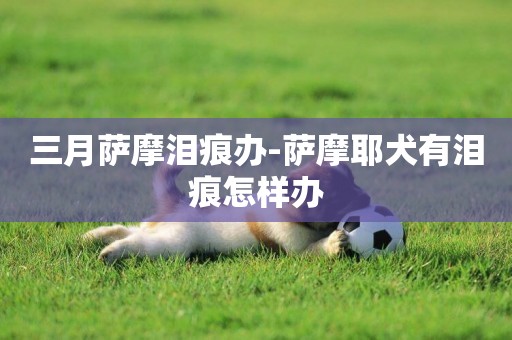 三月薩摩淚痕辦-薩摩耶犬有淚痕怎樣辦