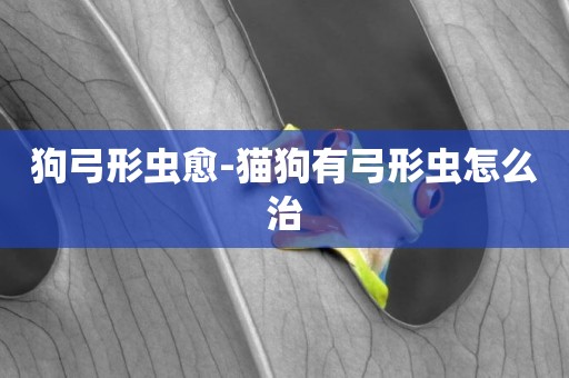 狗弓形蟲愈-貓狗有弓形蟲怎么治