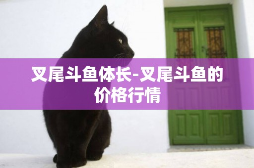 叉尾斗魚體長-叉尾斗魚的價格行情