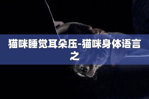貓咪睡覺耳朵壓-貓咪身體語言之