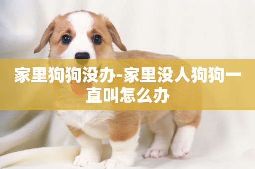 家里狗狗沒辦-家里沒人狗狗一直叫怎么辦