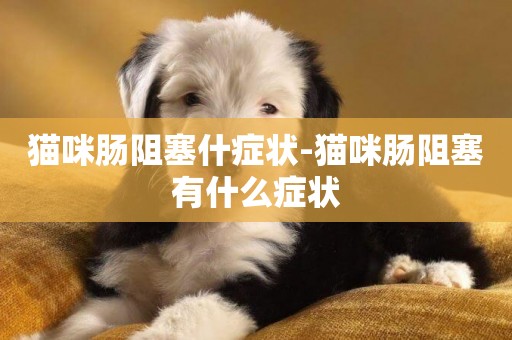 貓咪腸阻塞什癥狀-貓咪腸阻塞有什么癥狀