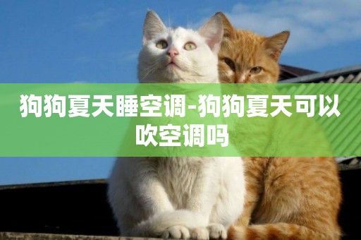 狗狗夏天睡空調-狗狗夏天可以吹空調嗎