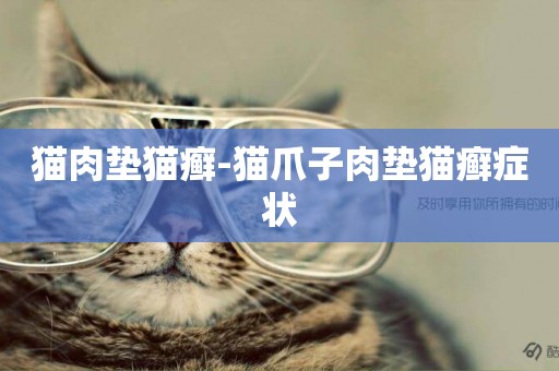 貓肉墊貓癬-貓爪子肉墊貓癬癥狀