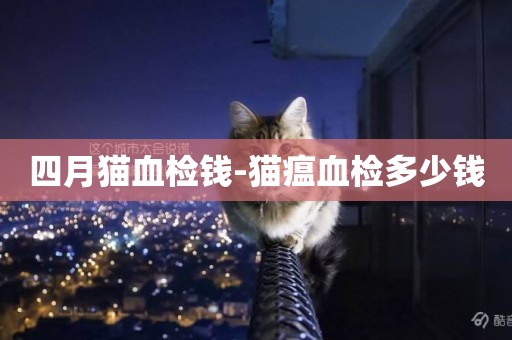 四月貓血檢錢-貓瘟血檢多少錢