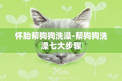 懷胎幫狗狗洗澡-幫狗狗洗澡七大步驟