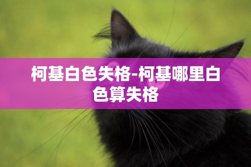 柯基白色失格-柯基哪里白色算失格
