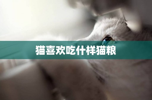 貓喜歡吃什樣貓糧