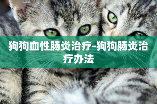 狗狗血性腸炎治療-狗狗腸炎治療辦法