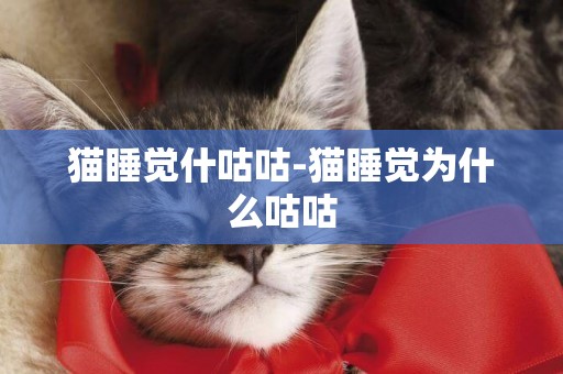 貓睡覺什咕咕-貓睡覺為什么咕咕