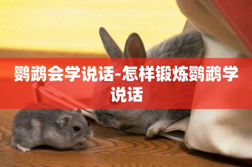 鸚鵡會學說話-怎樣鍛煉鸚鵡學說話